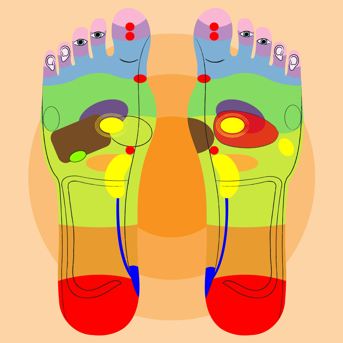 Physiotherapiewasylow Fußreflexzonen 